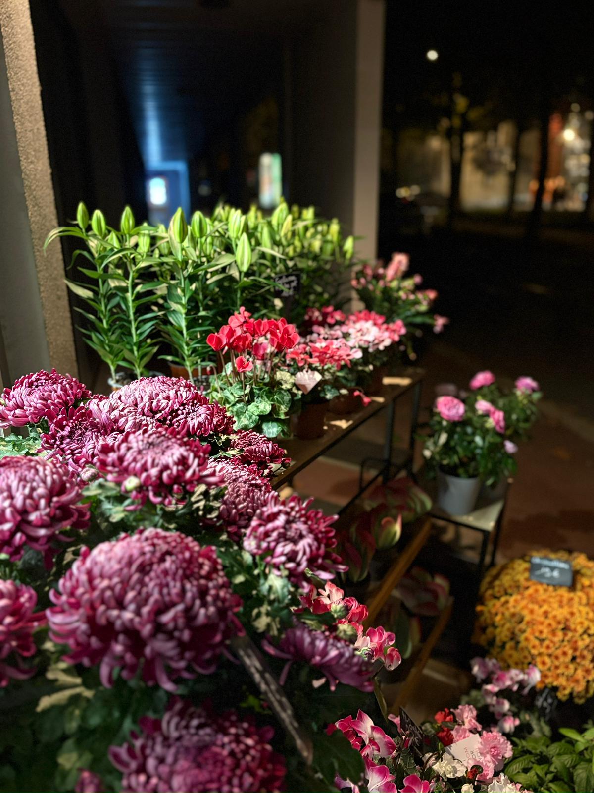 livraison fleurs eysines